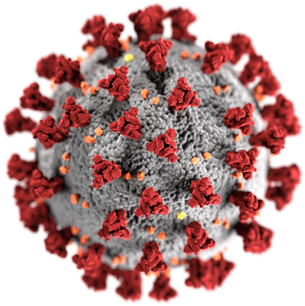 Coronavirus Timeline History Of Vaccines