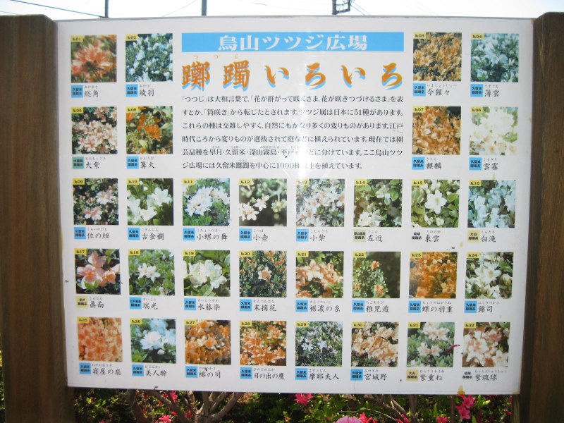 千歳烏山の見どころ紹介