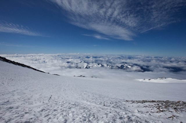 15年物理部流行語大賞