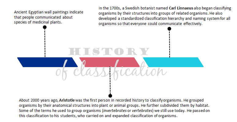 Classification: History and Hierarchy (Accessibility view)