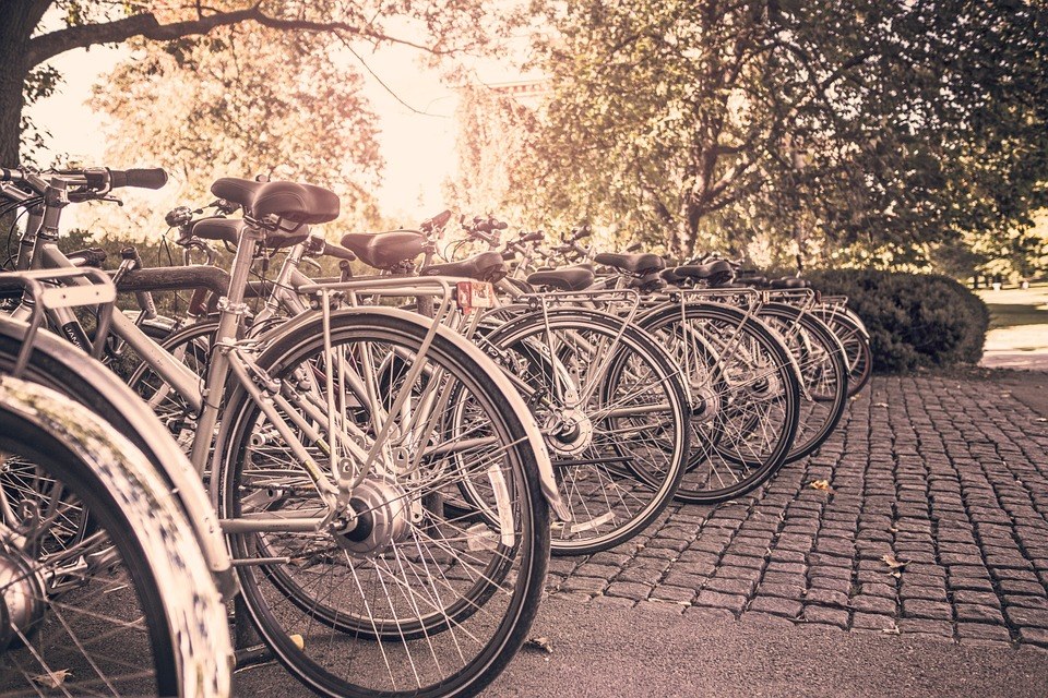 ucl cycle to work
