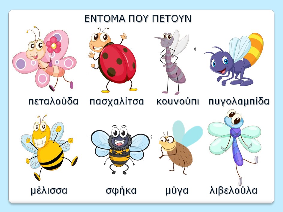 έντομα που πετούν.png