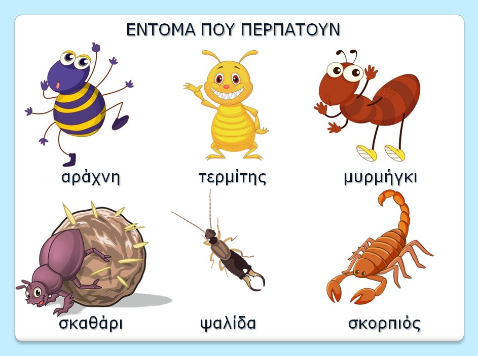 έντομα που περπατούν.png