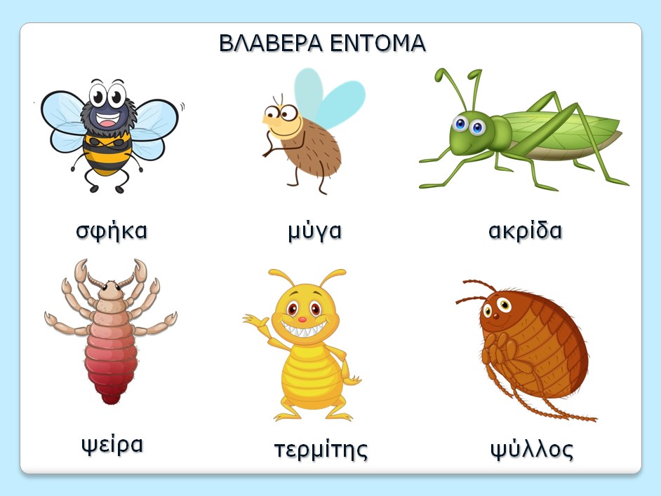 ΒΛΑΒΕΡΑ ΕΝΤΟΜΑ.png