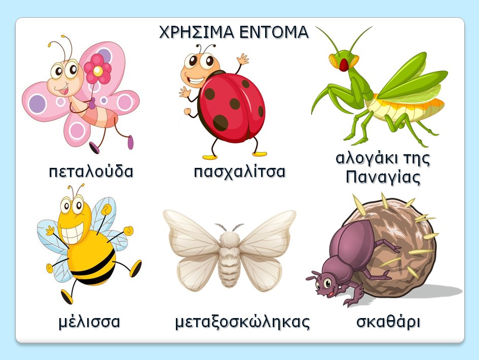 ΧΡΗΣΙΜΑ ΕΝΤΟΜΑ.png