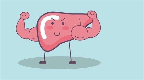 Da freut sich die Leber: Unterstützung der Leberfunktion ...