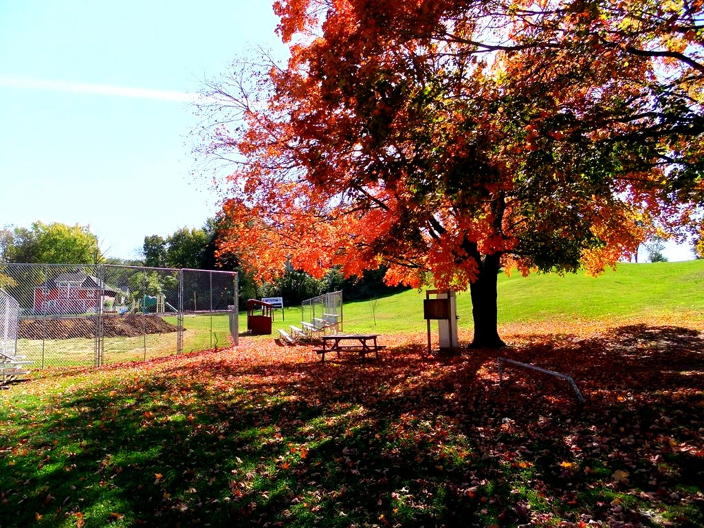 Fall on the old Kemper Military School Grounds | Robert Stinnett | Flickr