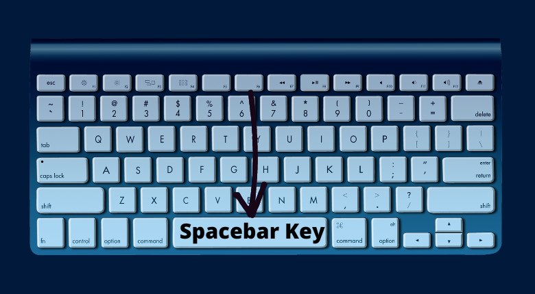 Everything You Need To Know About Spacebar Counter