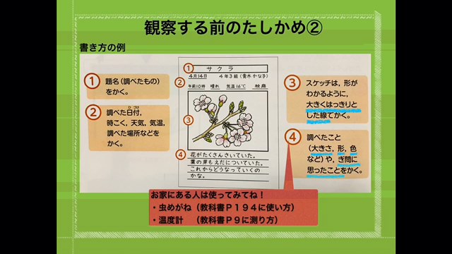 4年生 理科 春の生き物 5月25日