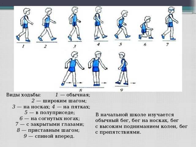 Какие бывают движения. Разновидности ходьбы. Упражнения для развития ходьбы. Упражнения в ходьбе. Ходьба виды ходьбы.