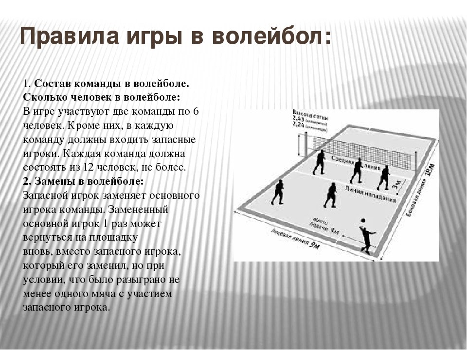 1 линия состояла из. Основные принципы игры в волейбол. Правила игры в волейбол. Регламент в волейболе. Количество игроков в волебол.