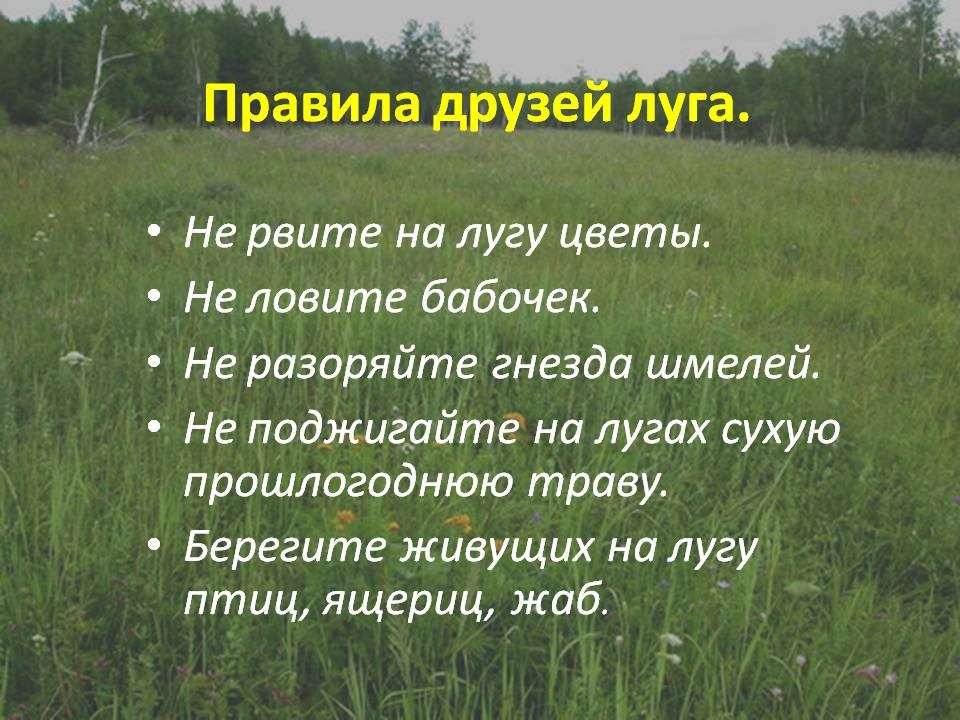 Чем могут гордиться жители вашей местности в плане охраны животного мира а чего стыдиться татарстан