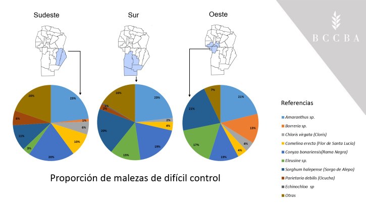 regiones2.PNG
 (Moderado)