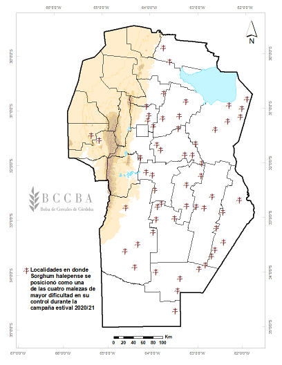 figura sorgo de alepo.png