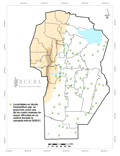 Figura Yuyo colorado.png