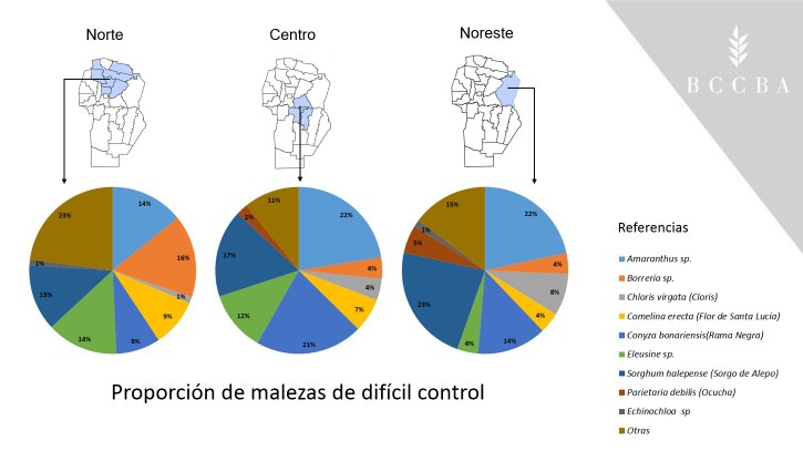 regiones 1.PNG
 (Moderado)