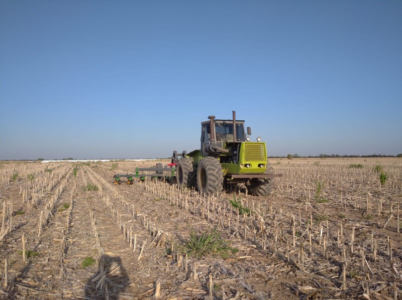 WhatsApp Image 2022-01-12 at 09.42.10.jpeg
 (Moderado)