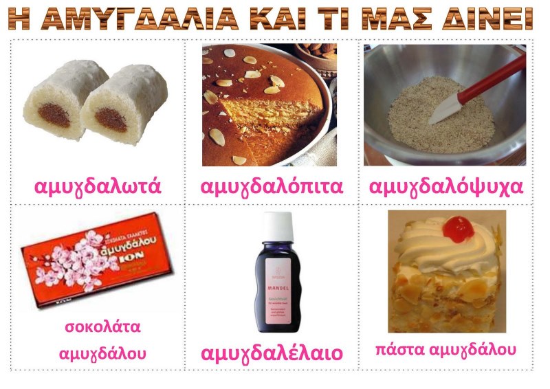 Η ΑΜΥΓΔΑΛΙΑ ΛΙΣΤΕΣ ΑΝΑΦΟΡΑΣ_Σελίδα_4.jpg