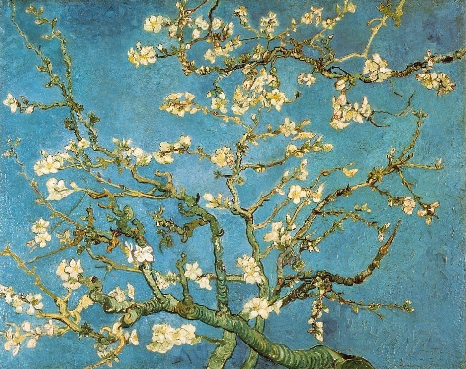 Almond tree.jpg