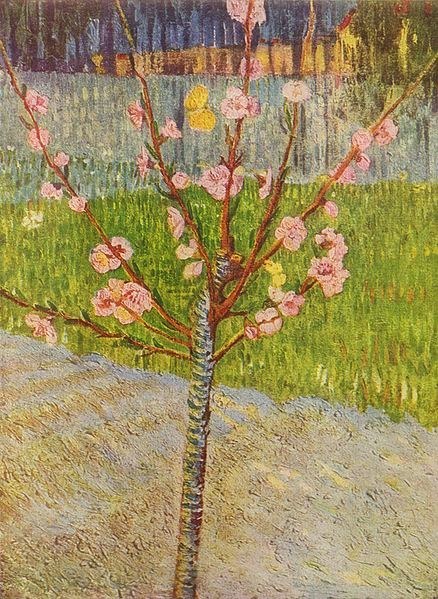 almod tree 1888.jpg
