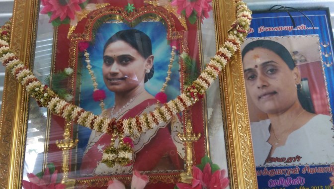 IMAG2965.jpg  (mittel)