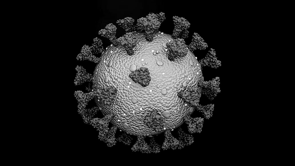 Explainer: What is a spike protein? | Science News for ...