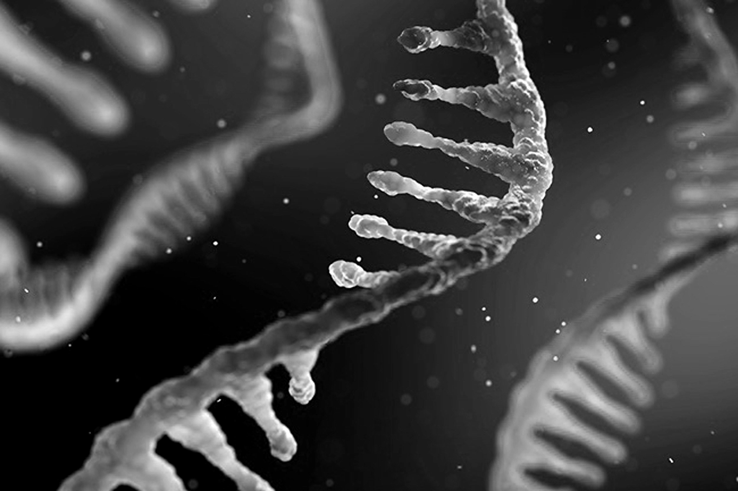 Harvard starts mRNA immunotherapy research collaboration ...