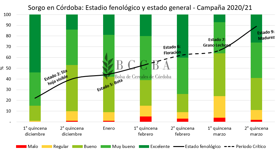 Estado general.PNG
 (Moderado)