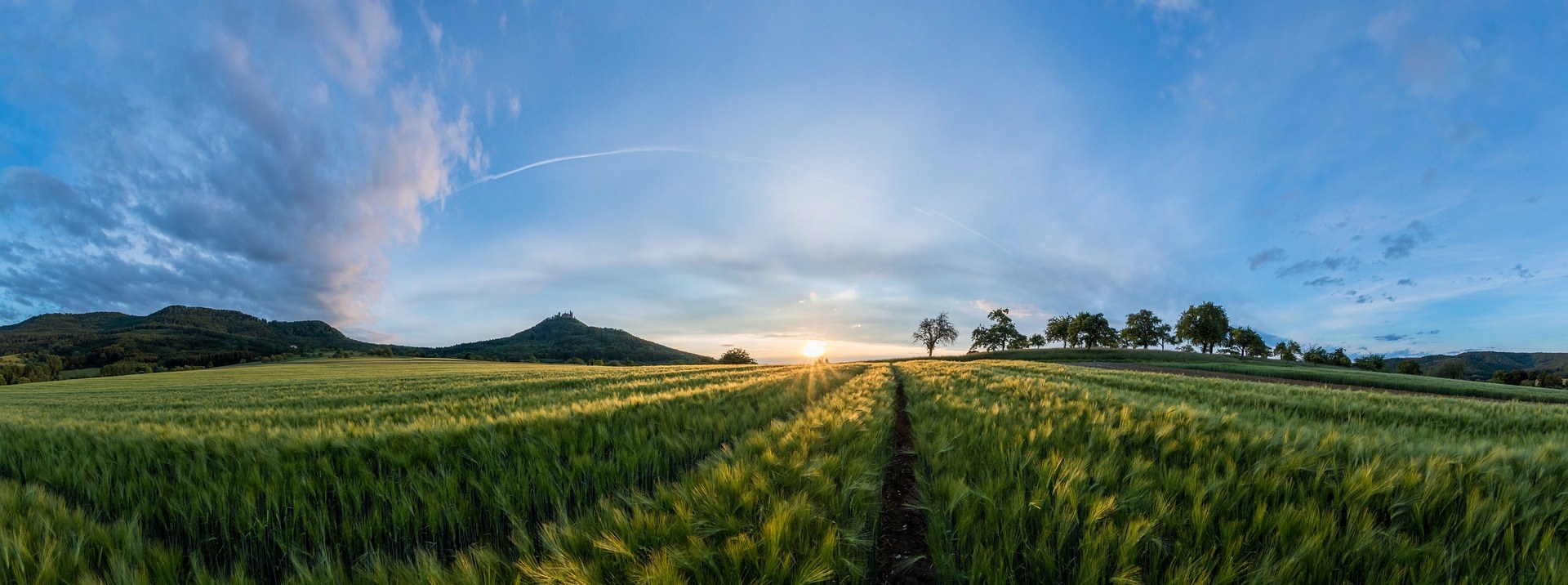 Фото панорама лето