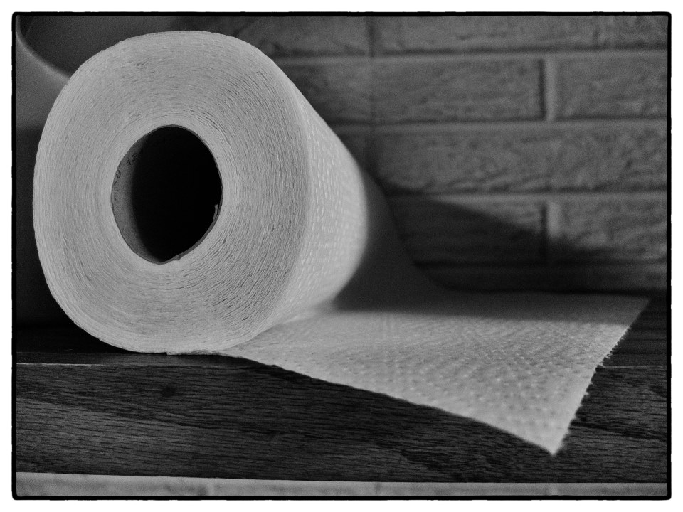 Paper Towel Absorbency Experiment - FundaFunda Academy