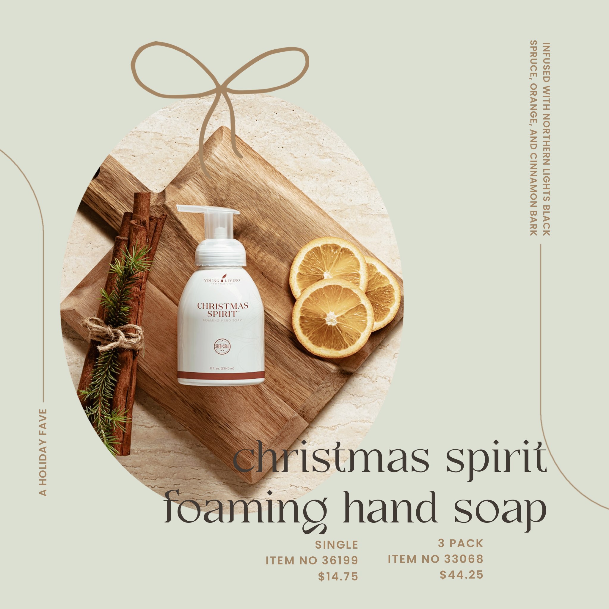 christmas spirit foaming hand soap.PNG