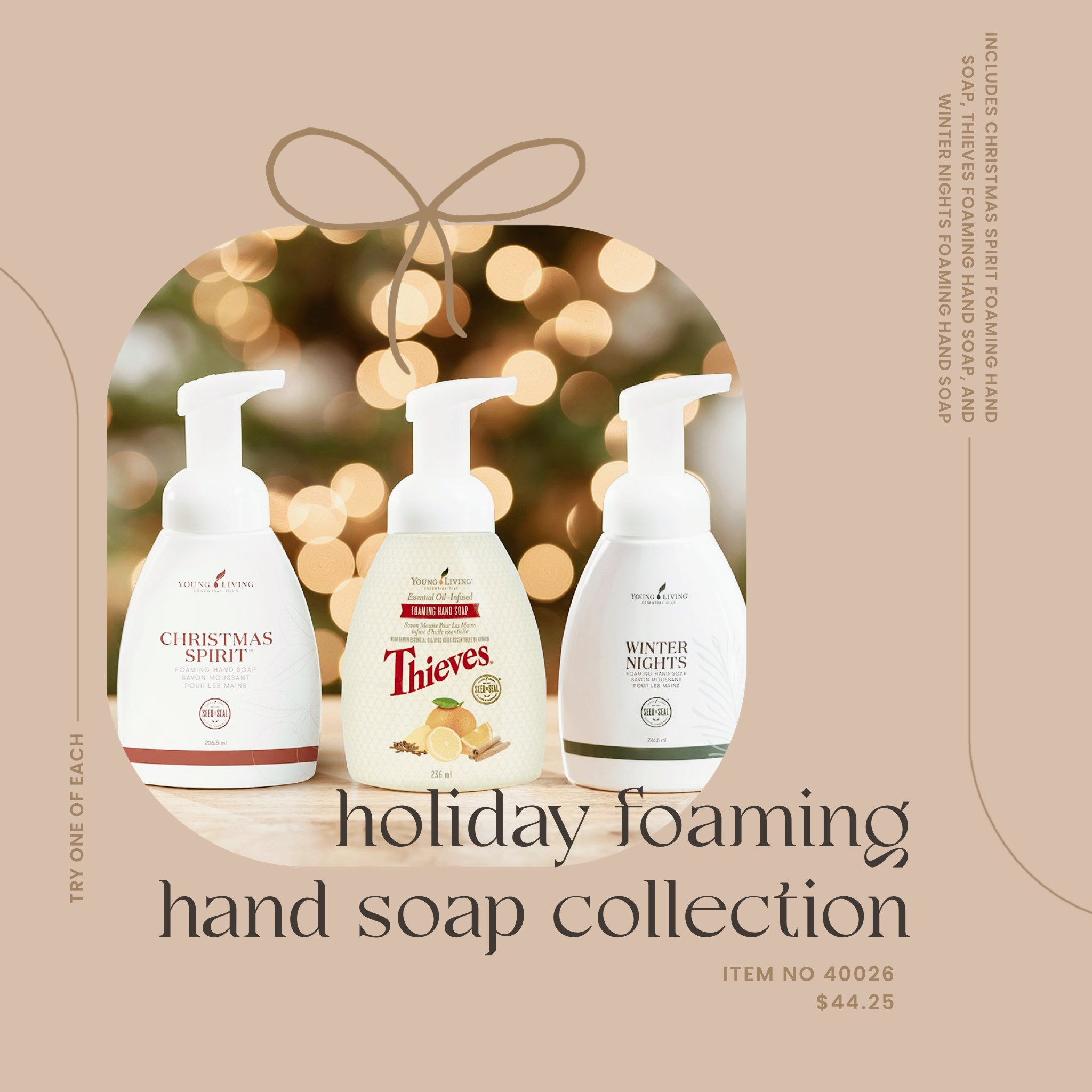 holiday foaming hand soap collection.PNG