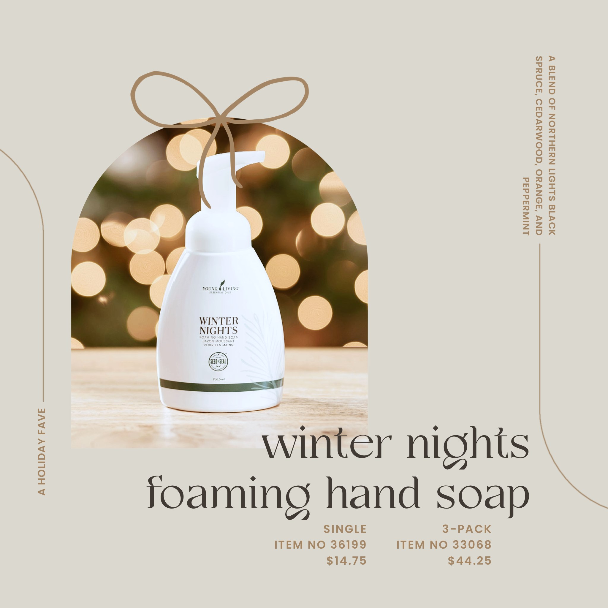 winter nights foaming hand soap.PNG