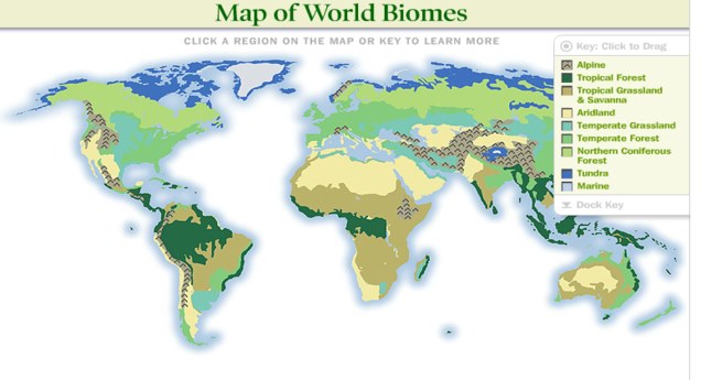Карта джунглей мира