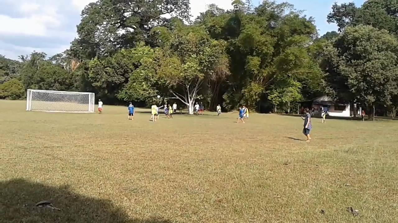 20181006_152459.mp4 (Moderado)