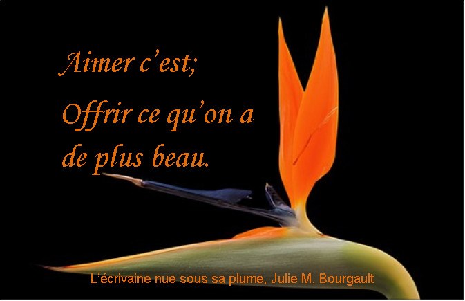 Mes Plus Belles Citations Accessibility View