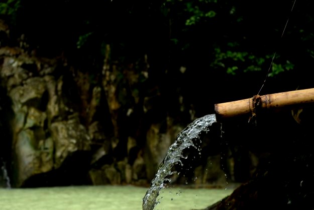 DSC_0035.gif