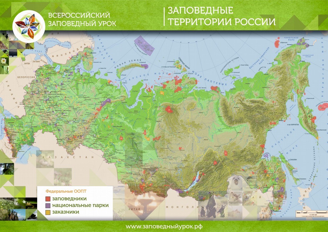 Интерактивная карта презентация