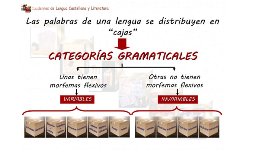 Principios Basicos De La Sintaxis Accessibility View