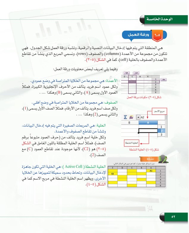 هي الخلية التي تكون جاهزة لإدخال البيانات وتحاط بحدود سميكة