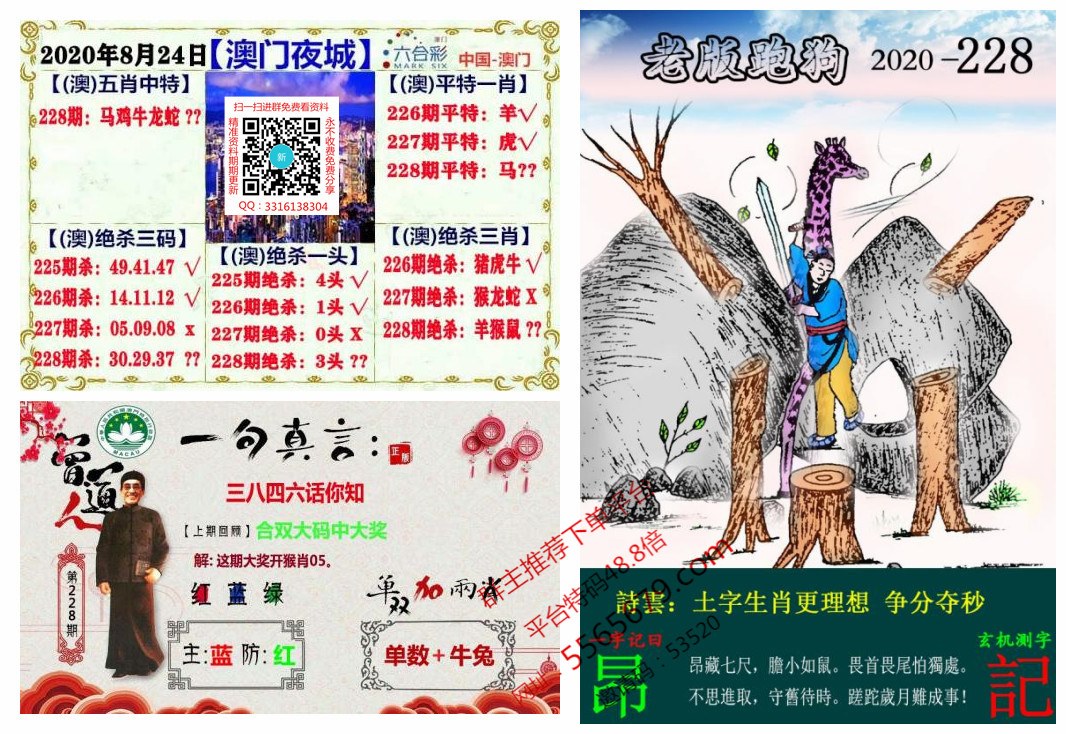 新澳门预测准确吗(2025新澳历史记录最新结果)