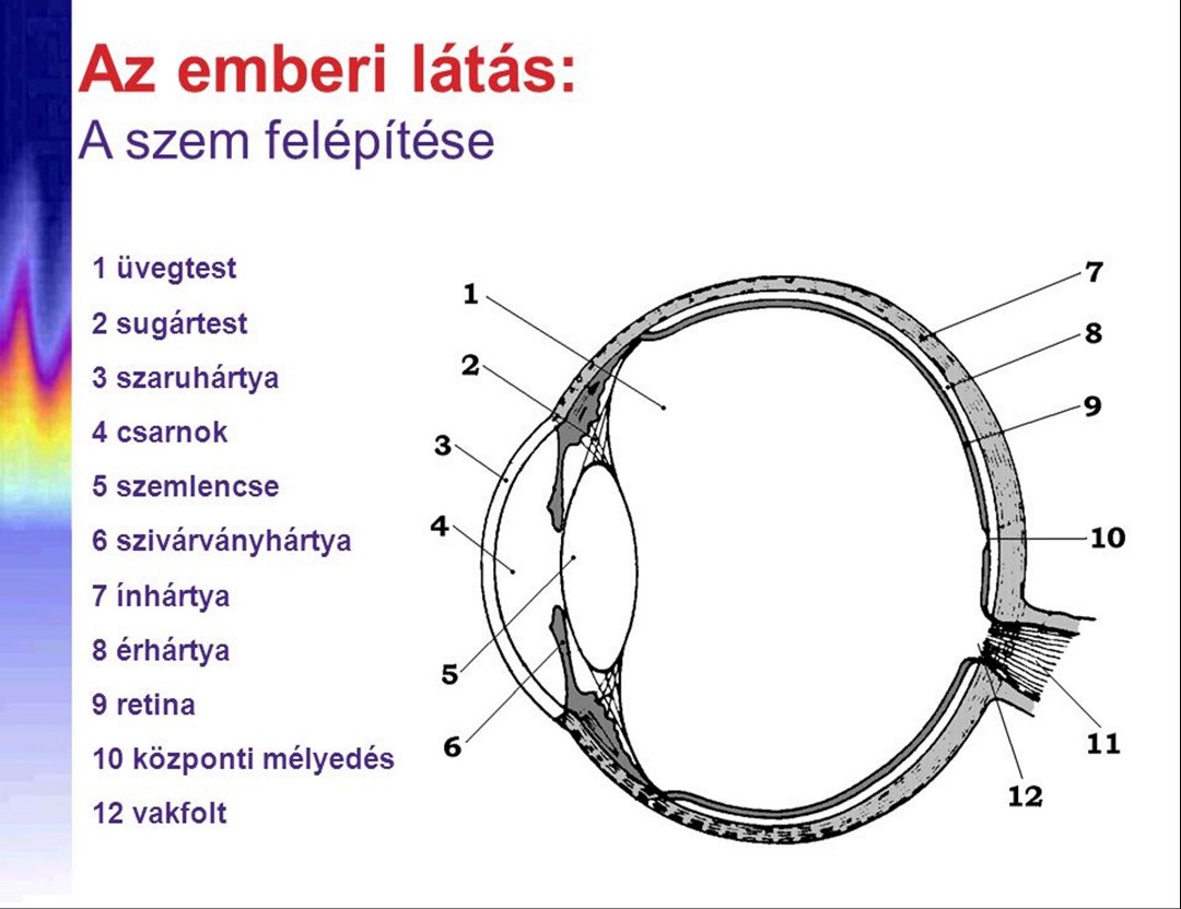 kötés a látás kedvéért