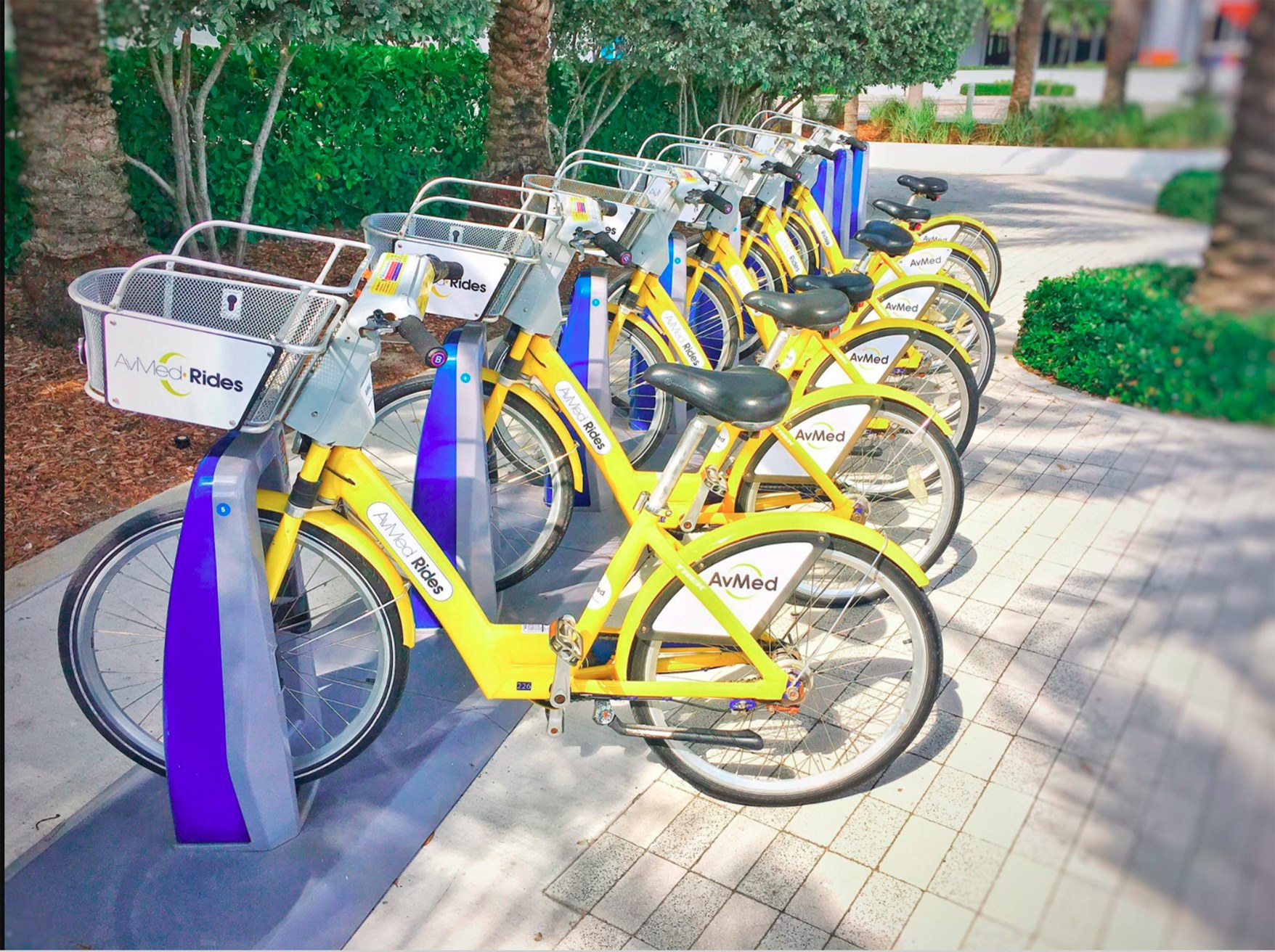 Прокат велосипедов. Велопрокат Обнинск. Арендовать велосипед. Bike sharing Москва. Прокат велосипедов визуализация.