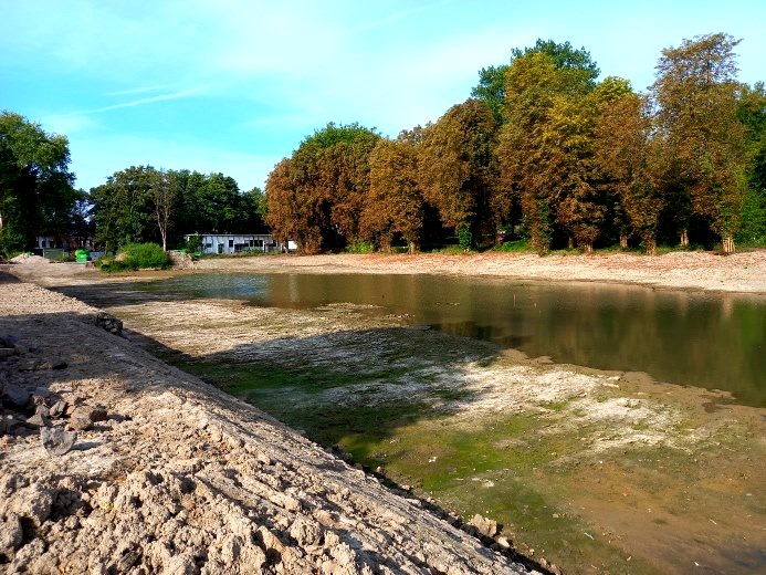 Nieuwsbrief12 foto 1.jpg