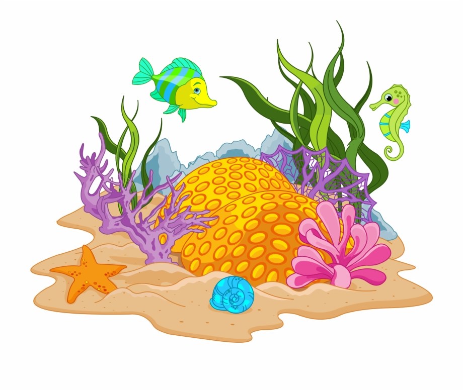 Water Animals
