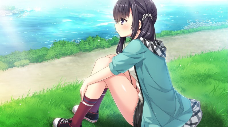 【GAL/汉化/Hulotte 时停社】不可视之药与坎坷的命运 【PC+KR】