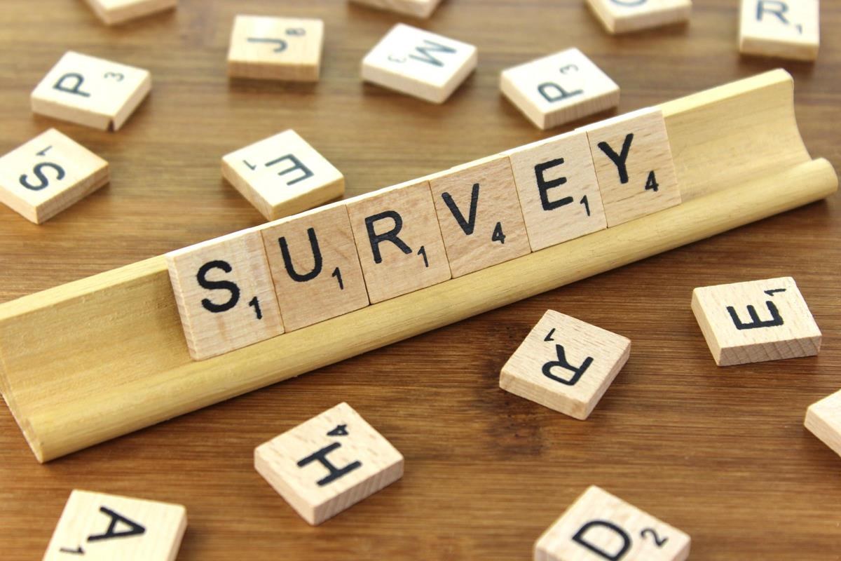 Survey - Wooden Tile Images (Moderate)