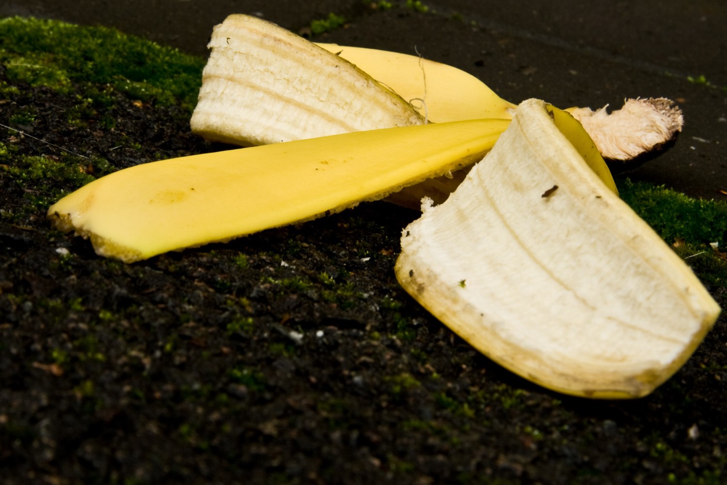 Корки бананов для цветов. Кожура. Банановая корка. Банан в разрезе с кожурой. Нарезанная банановая кожура.