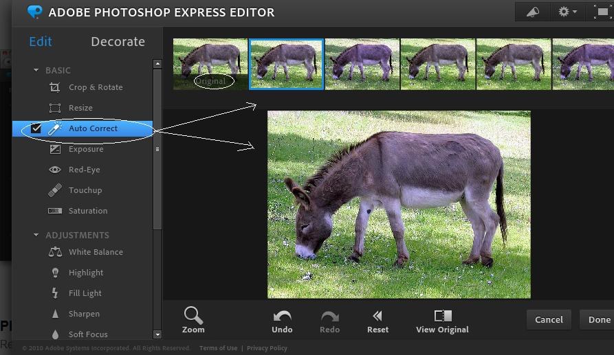 How to open Adobe Photoshop Express Apps via Windows 10