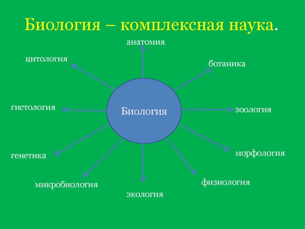 Душа и ее составляющие. Биология комплексная наука. Современная биология комплексная наука. Биология как комплексная наука. Биологические дисциплины схема.